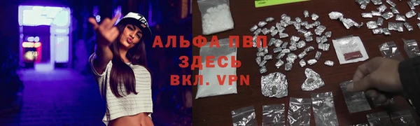 крисы Алзамай