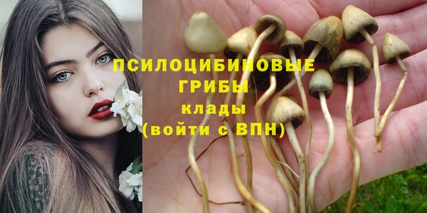 гашишное масло Алексеевка