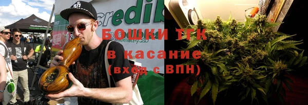 крисы Алзамай