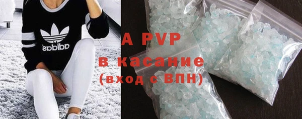 крисы Алзамай