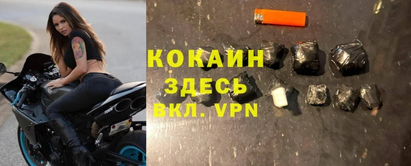 крисы Алзамай