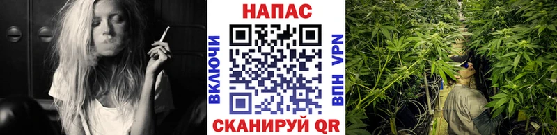 Канабис OG Kush  Константиновск 